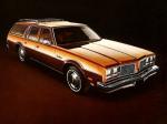 Oldsmobile Custom Cruiser 1979 года